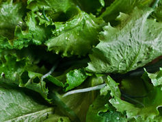 Cyclospora Outbreak Reveals Why Purpose Begins Before Crisis