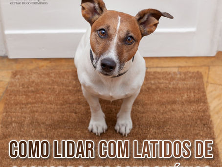 Como lidar com latidos de cachorro em condomínio?