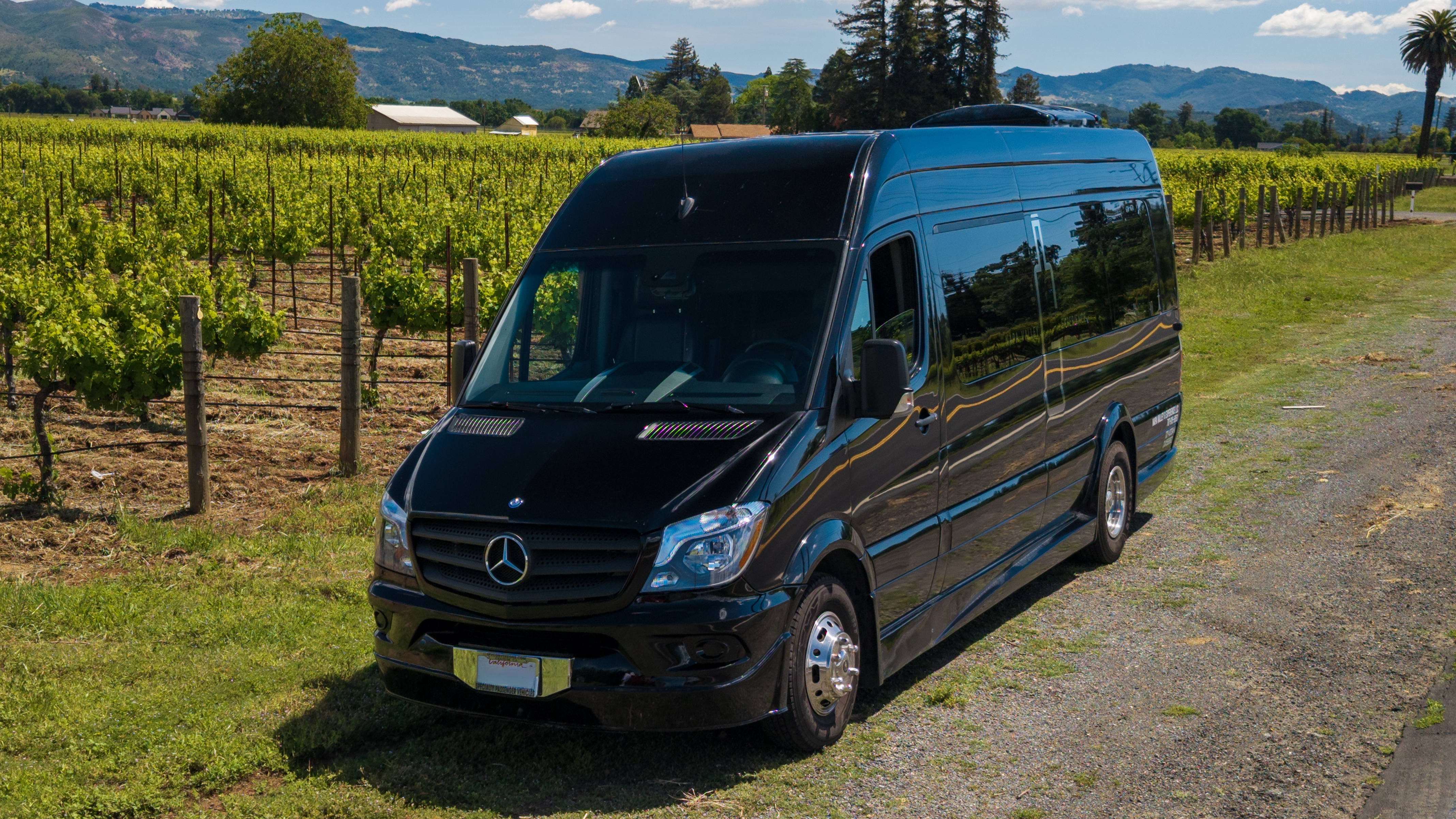 Black executive Sprinter van