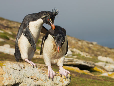 #27 - Word of Encouragement