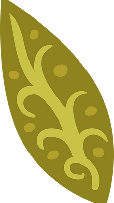Leaf