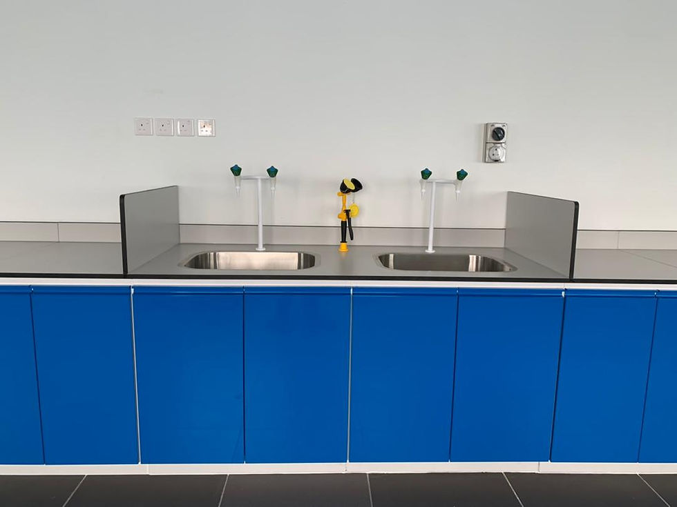 WhatsApp Image 2021-04-12 at 21.43.20