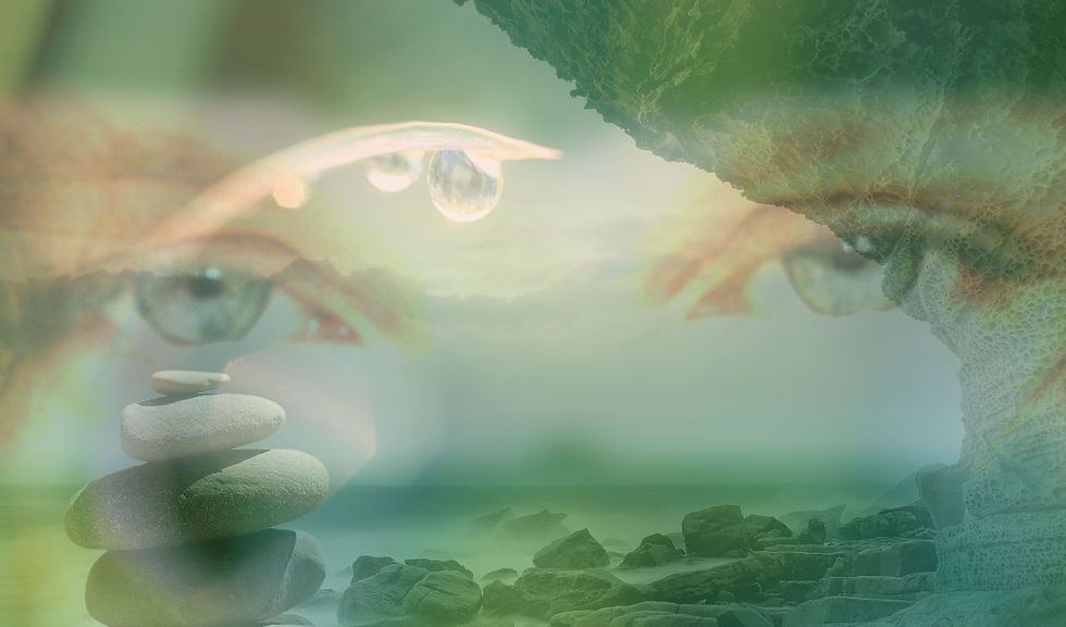EloYeux.jpg