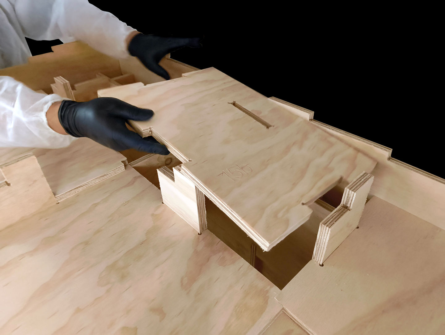 flat pack prototype roof2