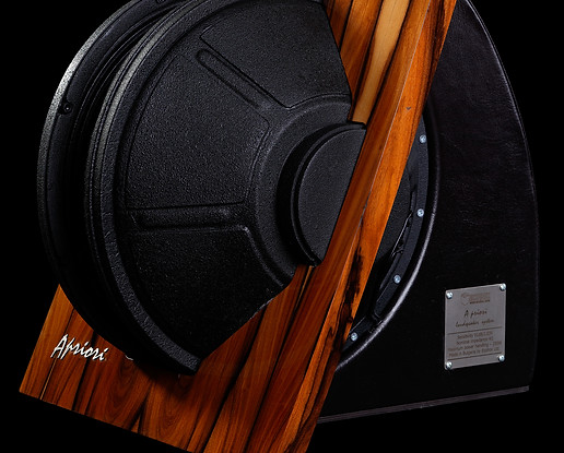 Close-up detail of ECOBOX A Priori patented loudspeaker design