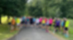 handicap 3 all runners_edited.jpg