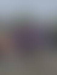 Weekend Round Up - 16th/17th March