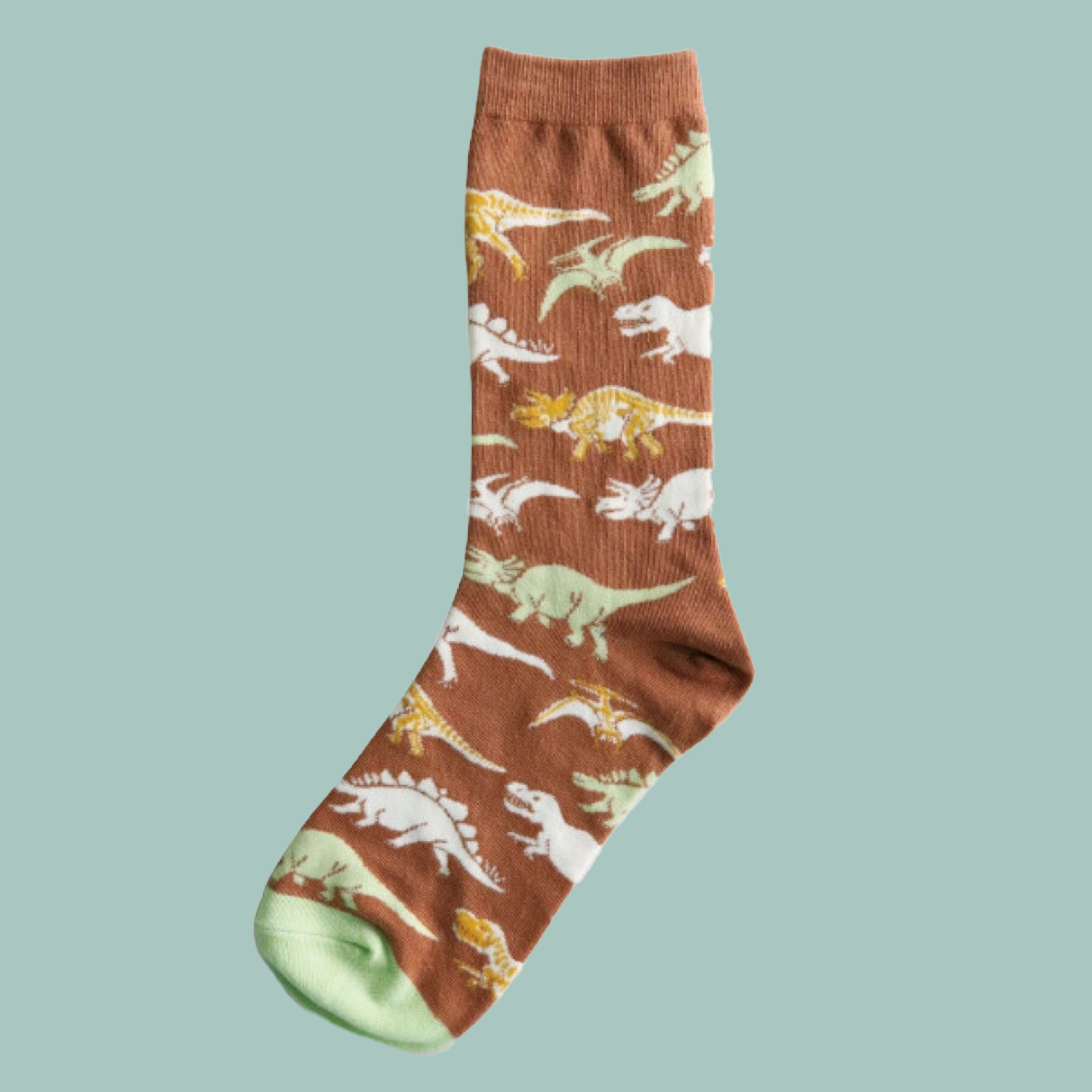 dinosaur socks