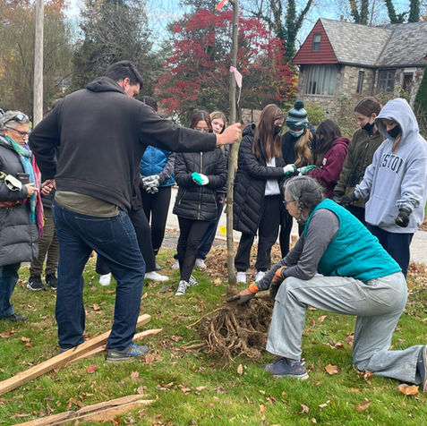 measuring and putting on the gloves.jpg