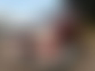 販売実績　ラパン