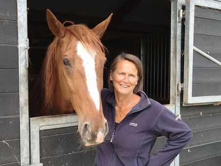 vrouw met paard beroepsvereniging paardencoaches
