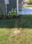 IMG_2521.jpeg