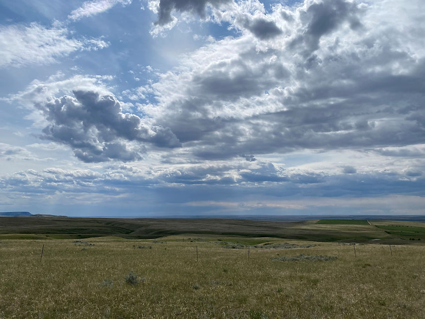 406-17.jpg