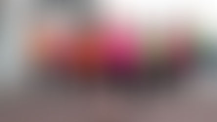 Velocidad o resistencia