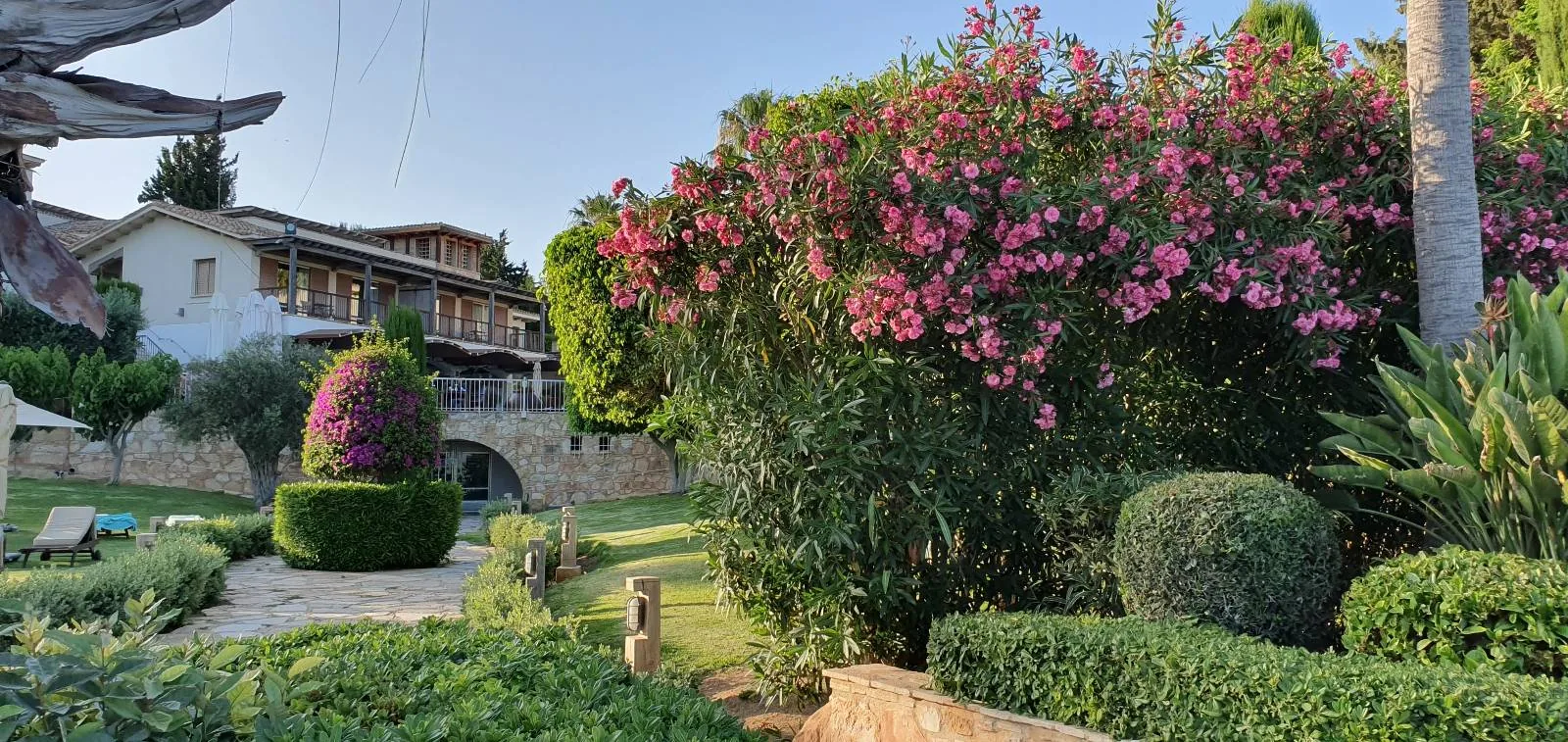 A stone path lined with neatly trimmed bushes and colorful flowering plants. Tall palm trees and lush greenery are visible, with a stone wall running alongside. The sky is clear with a warm, sunny atmosphere.