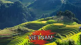 Lush green rice terraces cover rolling hills in Vietnam under bright sunlight, with dense forest in the background and the word "VIETNAM" displayed in bold letters over a red splash in the center.