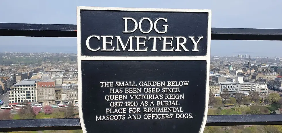 Sign reads "Dog Cemetery." Text explains use since Queen Victoria's reign. Cityscape with buildings and greenery in background.
