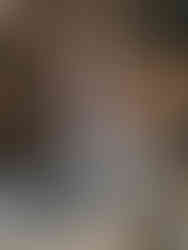 A large crocodile skin on display on a wooden table in a rustic room with high ceilings and wooden beams.