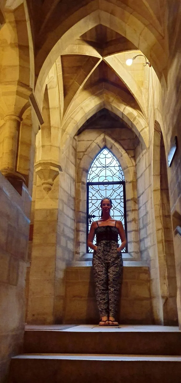 A person stands at the top of a stone staircase in a gothic-style building, framed by a pointed arch window with intricate tracery. The scene is warmly lit, highlighting the architectural details.
