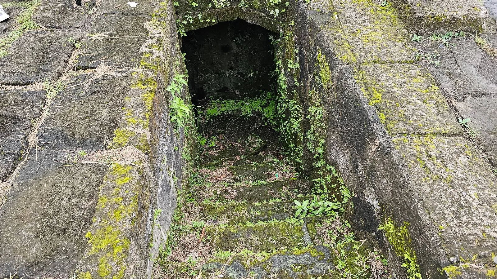 A narrow stone stairway covered in moss and small plants leads downwards, surrounded by weathered stone walls. The entrance appears dark and cavernous, suggesting an underground passage or chamber.