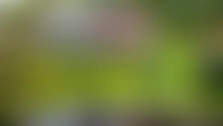 Lush green gardens with manicured hedges and topiaries. Text reads "Nong Nooch Tropical Garden Pattaya." Stone pathways and tropical trees.