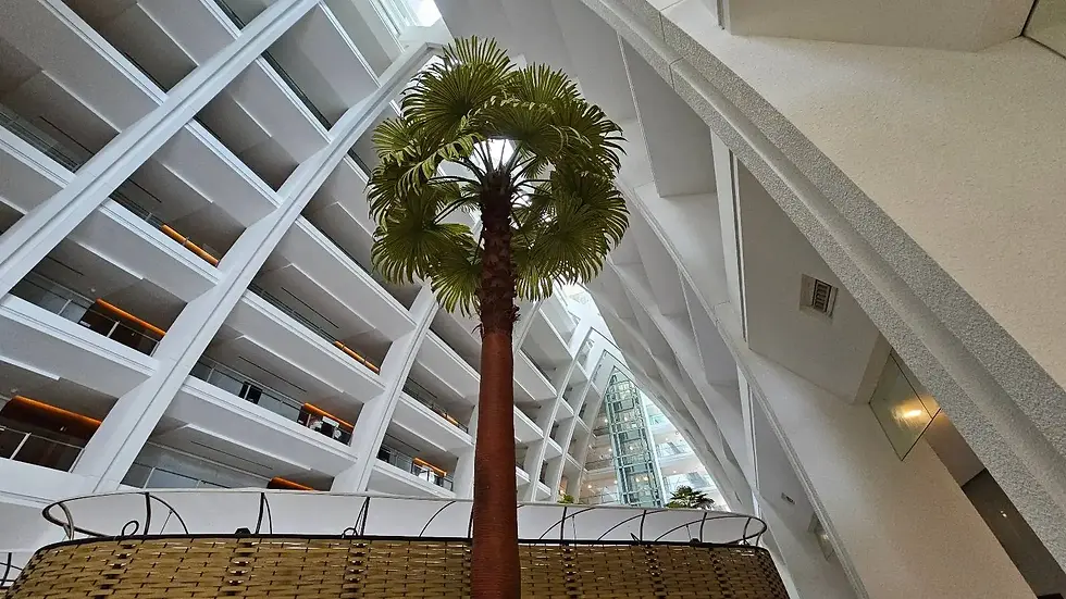 Tall palm tree indoors with modern white architecture, surrounded by glass balconies and orange accents. Bright, spacious setting.