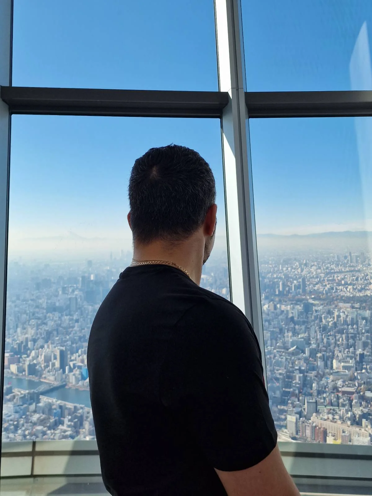 A person in a black shirt stands with their back facing the camera, looking out through large glass windows at a vast cityscape under a clear blue sky.