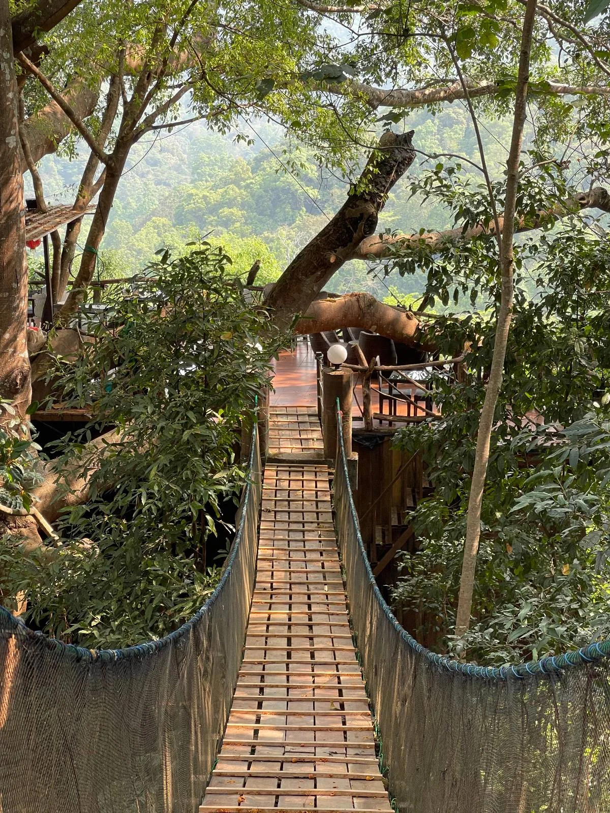 A narrow rope and wood suspension bridge leads through dense green trees toward a wooden platform with chairs, surrounded by lush forest.
