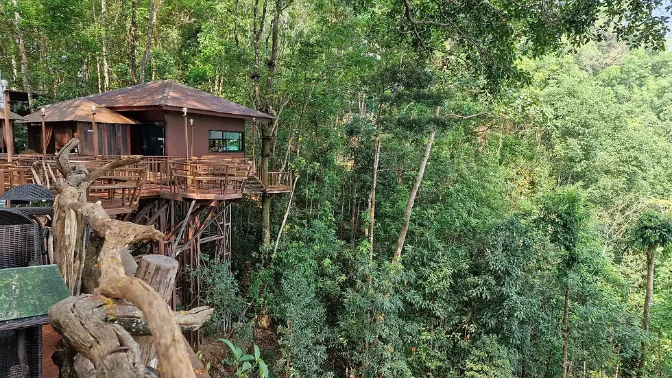 Treehouse with brown roof and wooden deck set in lush green forest. Empty chairs and tables on balcony. Peaceful, natural setting.