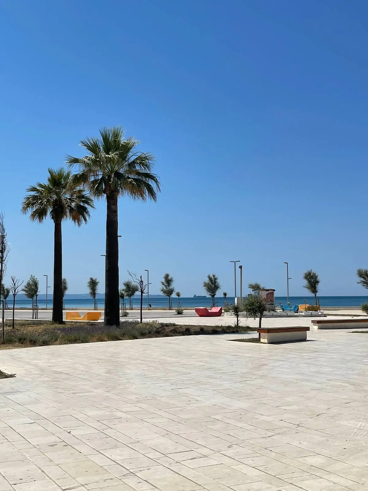 A sunny seaside promenade with tall palm trees, a tiled walkway, benches, and a clear blue sky. The calm sea is visible in the background, along with some parked cars and distant people.