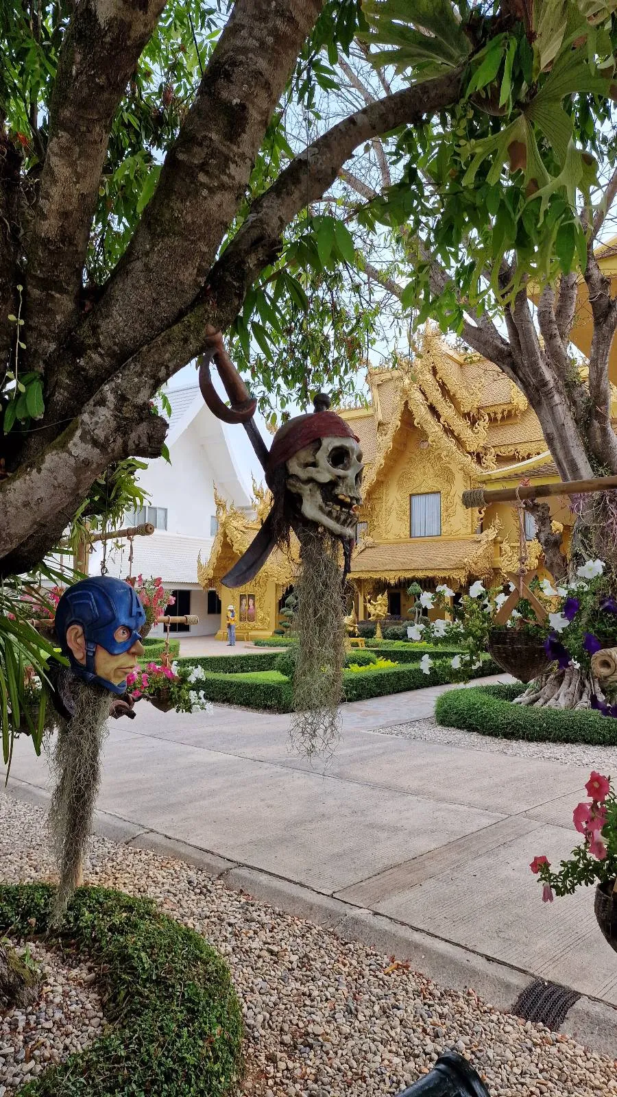 A decorative skull with a pirate hat hangs from a tree branch. In the background, there are ornate golden buildings with intricate designs and neatly trimmed greenery, creating a vibrant outdoor setting.