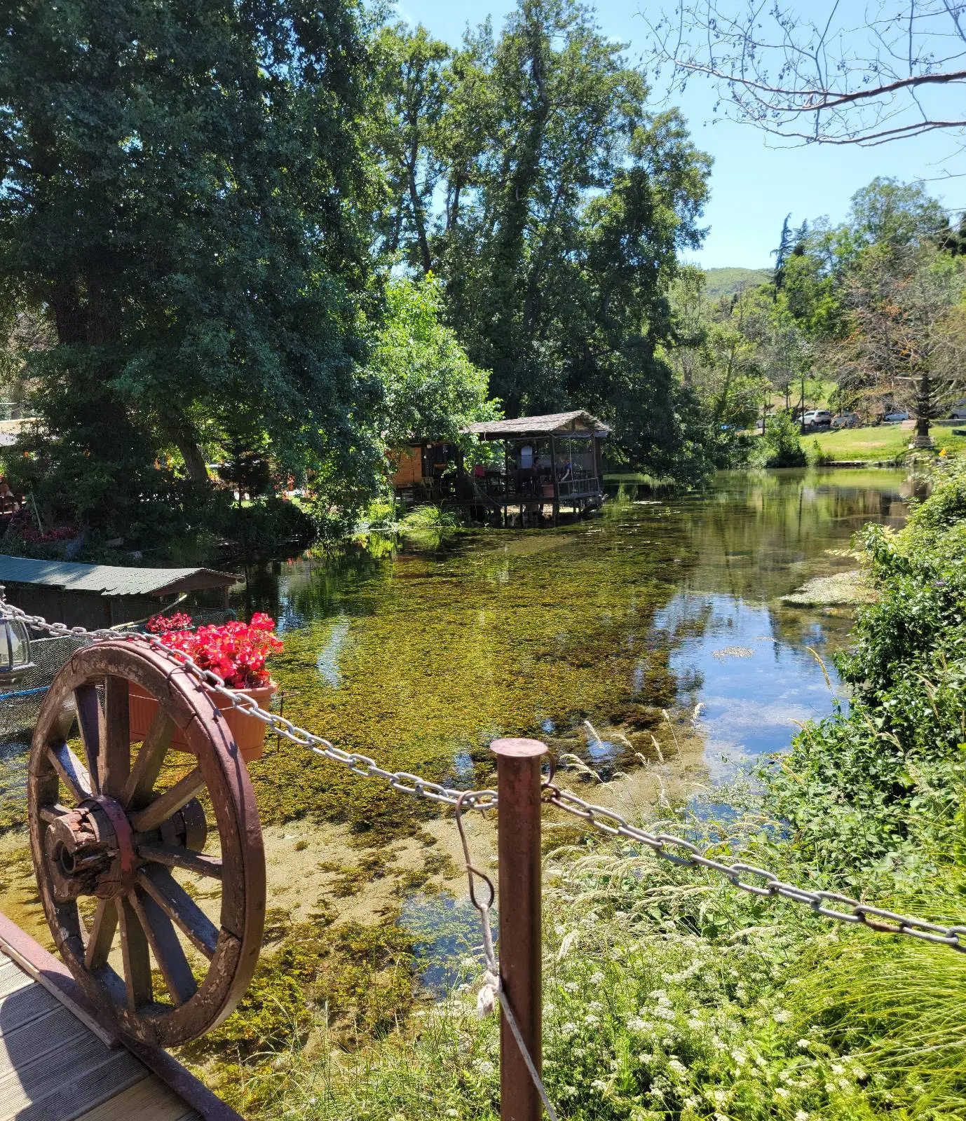 A serene pond surrounded by lush greenery and trees, with a small rustic wooden structure by the water. A weathered wooden wheel and chain fence is in the foreground, with vibrant red flowers nearby under a sunny blue sky.