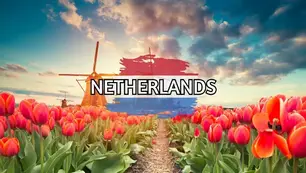 Field of red tulips with windmills under a colorful sky. "NETHERLANDS" is written across a painted Dutch flag.