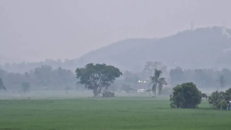 Foggy landscape with green fields, scattered trees, and hills in the background under a hazy sky.