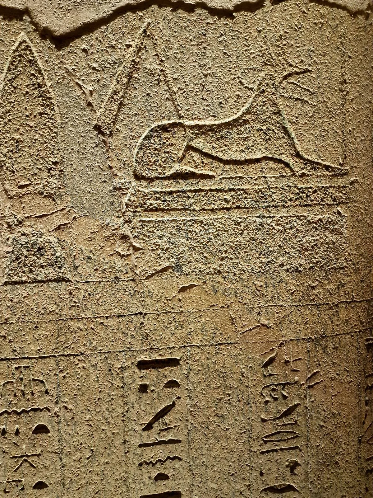 Ancient Egyptian hieroglyphic carving on a stone surface depicting a seated animal and rows of hieroglyphic symbols below.