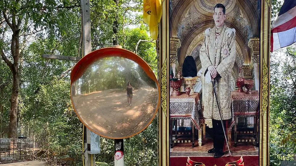 Reflection of a person in a convex mirror next to a portrait of a royal figure. Forest setting with green foliage and a flag visible.
