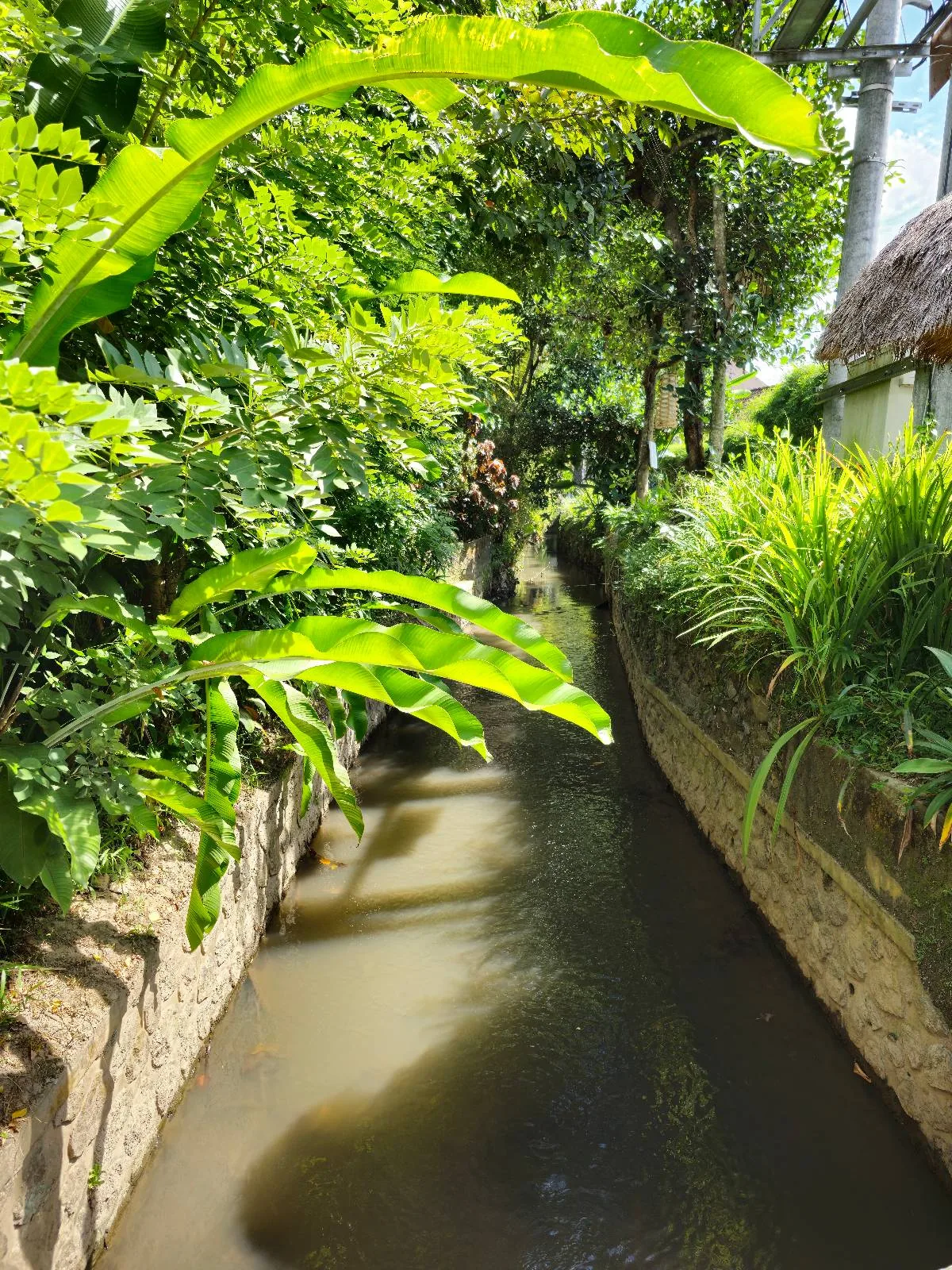 A narrow, calm canal surrounded by lush green plants and trees. Sunlight casts dappled shadows on the water's surface. A footpath runs alongside the canal, bordered by dense foliage.