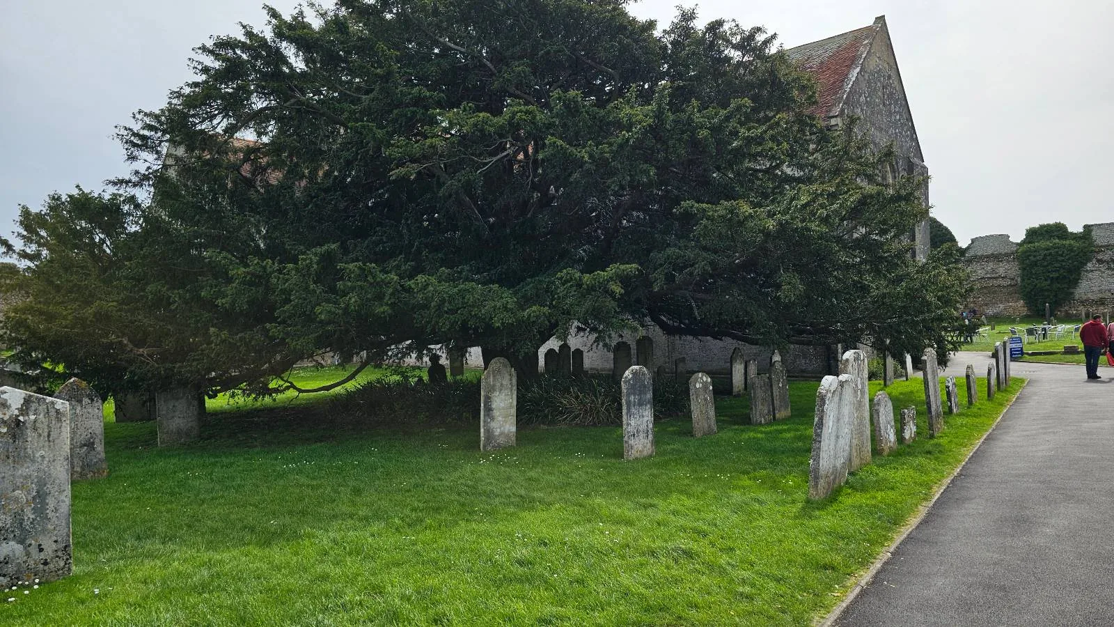 An ancient tree and old gravestones in front of a stone church in a lush, green cemetery.