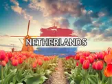 Field of red tulips with windmills under a colorful sky. "NETHERLANDS" is written across a painted Dutch flag.