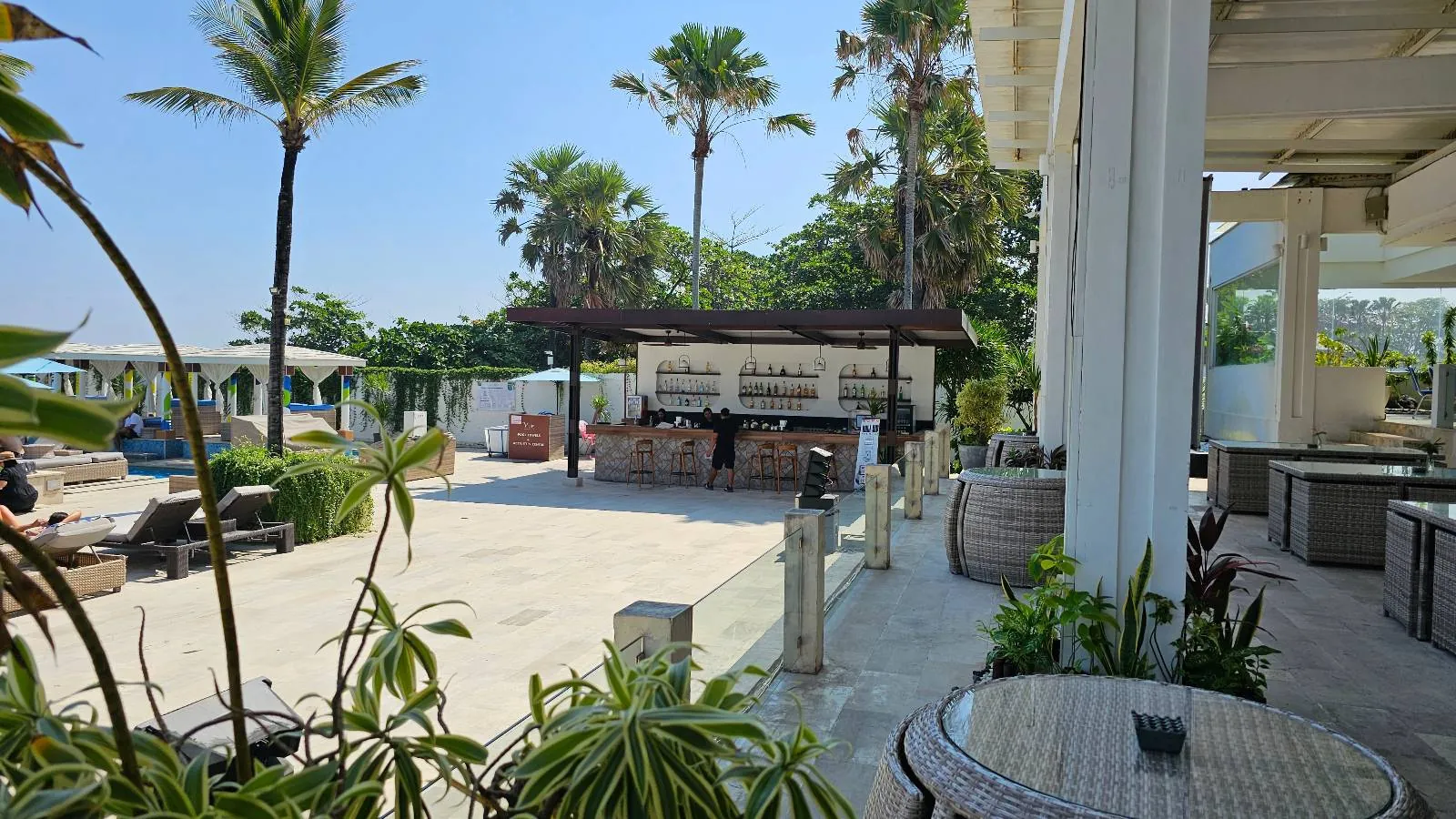 Outdoor patio with palm trees and a bar. Lounge chairs are arranged around, and there are sofas and tables with wicker accents. The scene is sunny and inviting, with a clear blue sky above and greenery in the background.