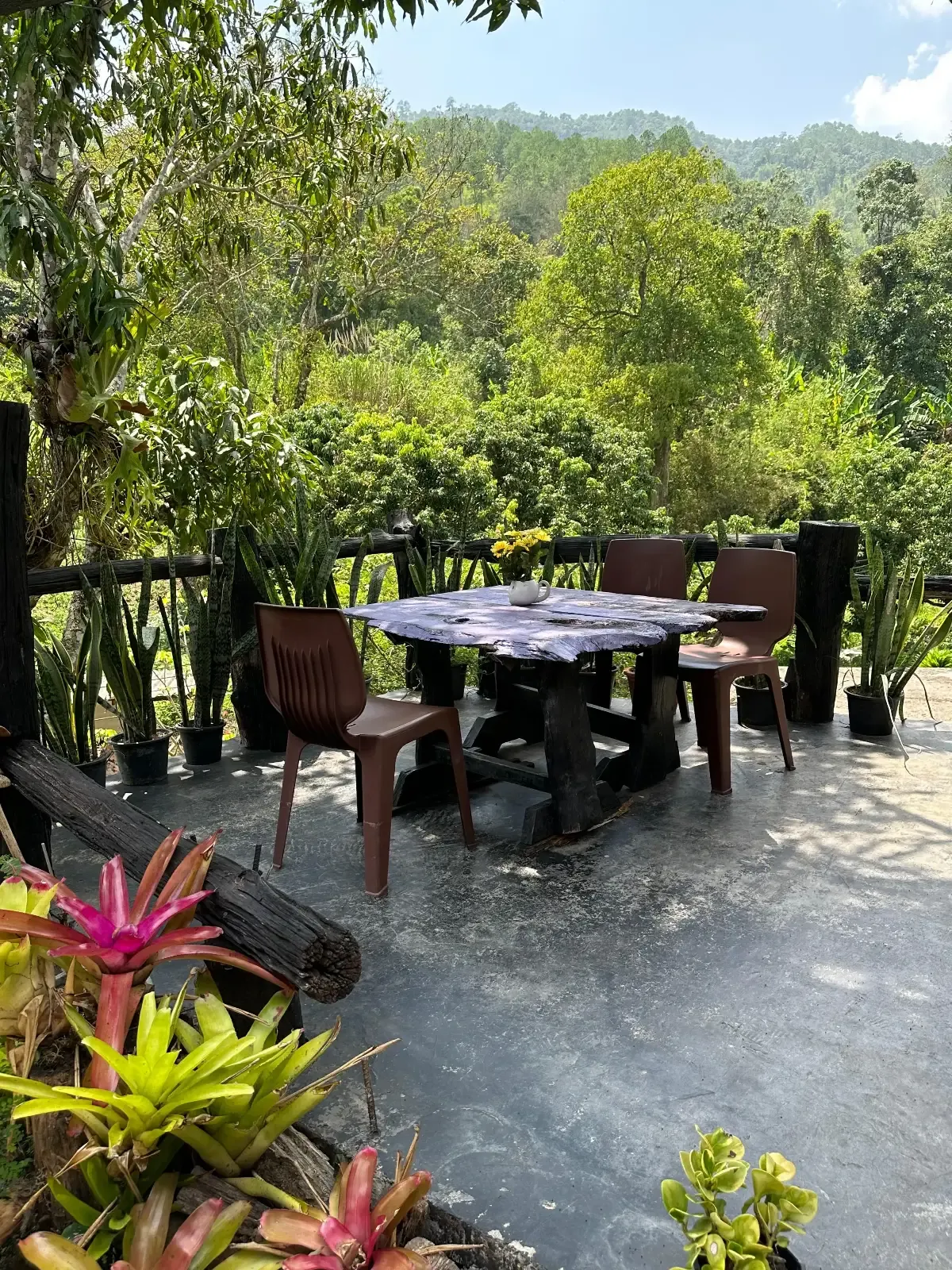 Wooden table with four chairs on a stone patio surrounded by lush green trees and plants, with hills visible in the background under a bright sky. Pink and green plants are in the foreground.