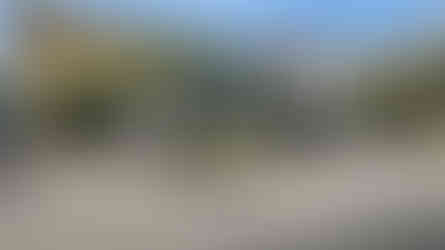 Several buses are parked in a paved lot near a yellow multi-story building with large windows, surrounded by trees and other buildings under a clear blue sky.