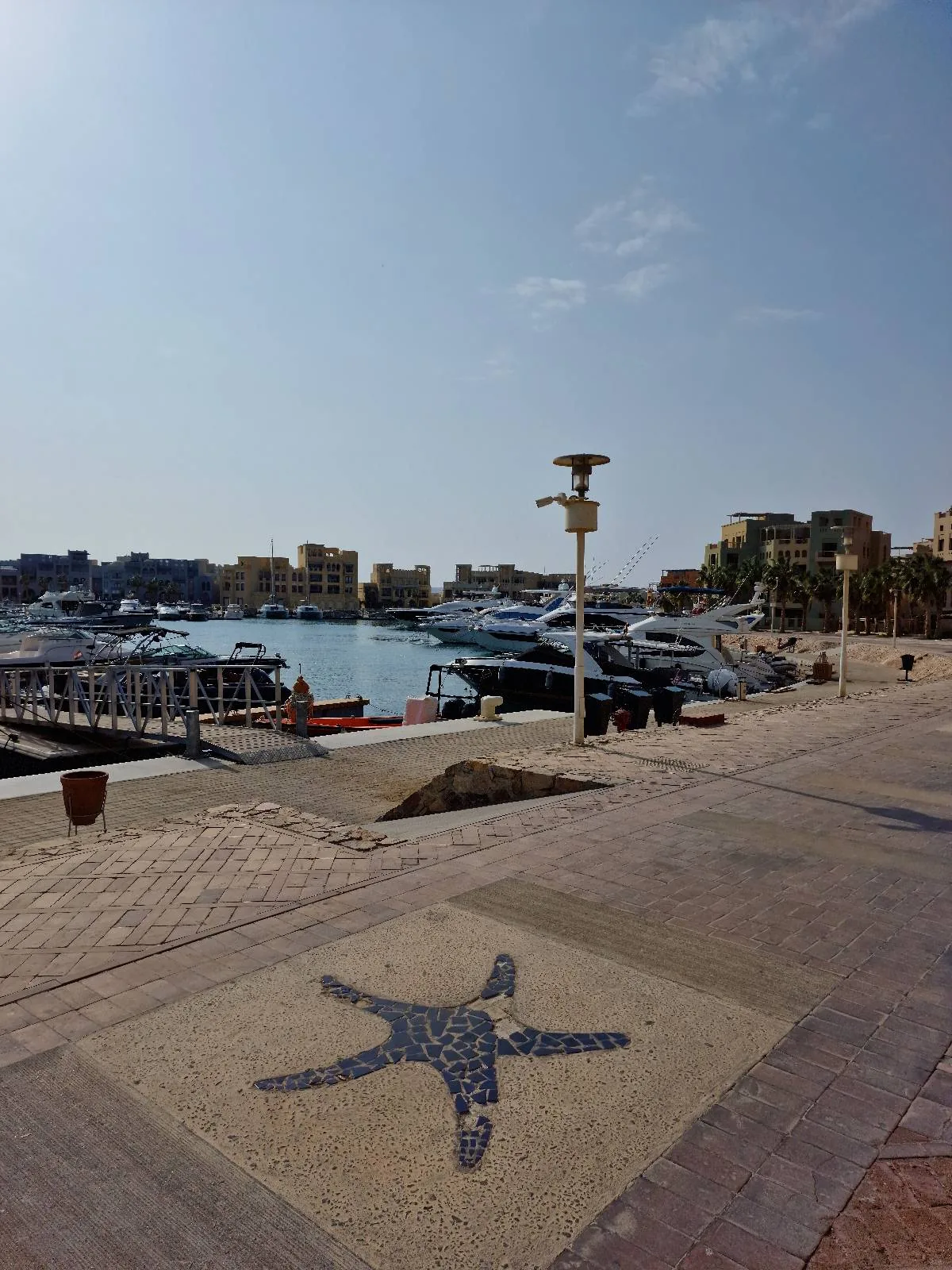 A marina with docked boats and a stone pathway featuring a starfish mosaic. Several buildings are visible in the background under a clear sky.