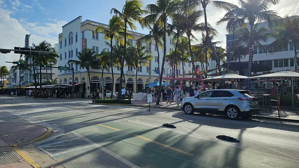 Street view of a sunny urban scene with palm trees, people, and parked cars. A historic building and street signs are visible in the background.