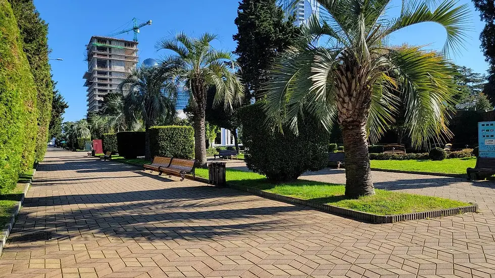 Sunny park path with palm trees, benches, and hedges. A building under construction and a crane are visible in the background.