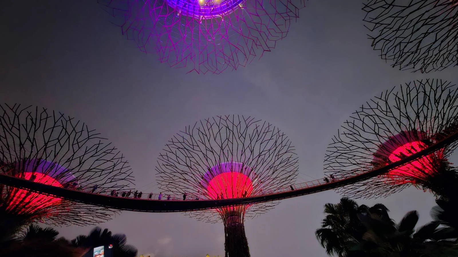 Silhouettes of people walking on a bridge among glowing tree-like structures with illuminated canopies in shades of purple and red against a dark evening sky.