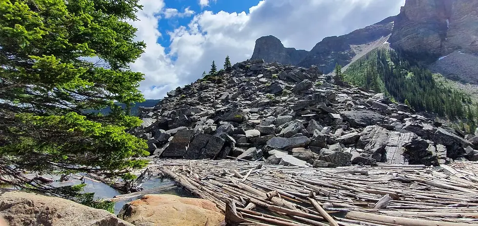 Rocky mountain landscape with a pile of driftwood in the foreground, evergreen trees, and a partly cloudy blue sky. Peaceful and natural.