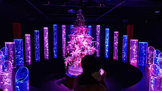 A person stands in front of an illuminated museum display in Tokyo, featuring a central decorated tree surrounded by glowing vertical tubes in shades of pink, purple, and blue in a dark room.