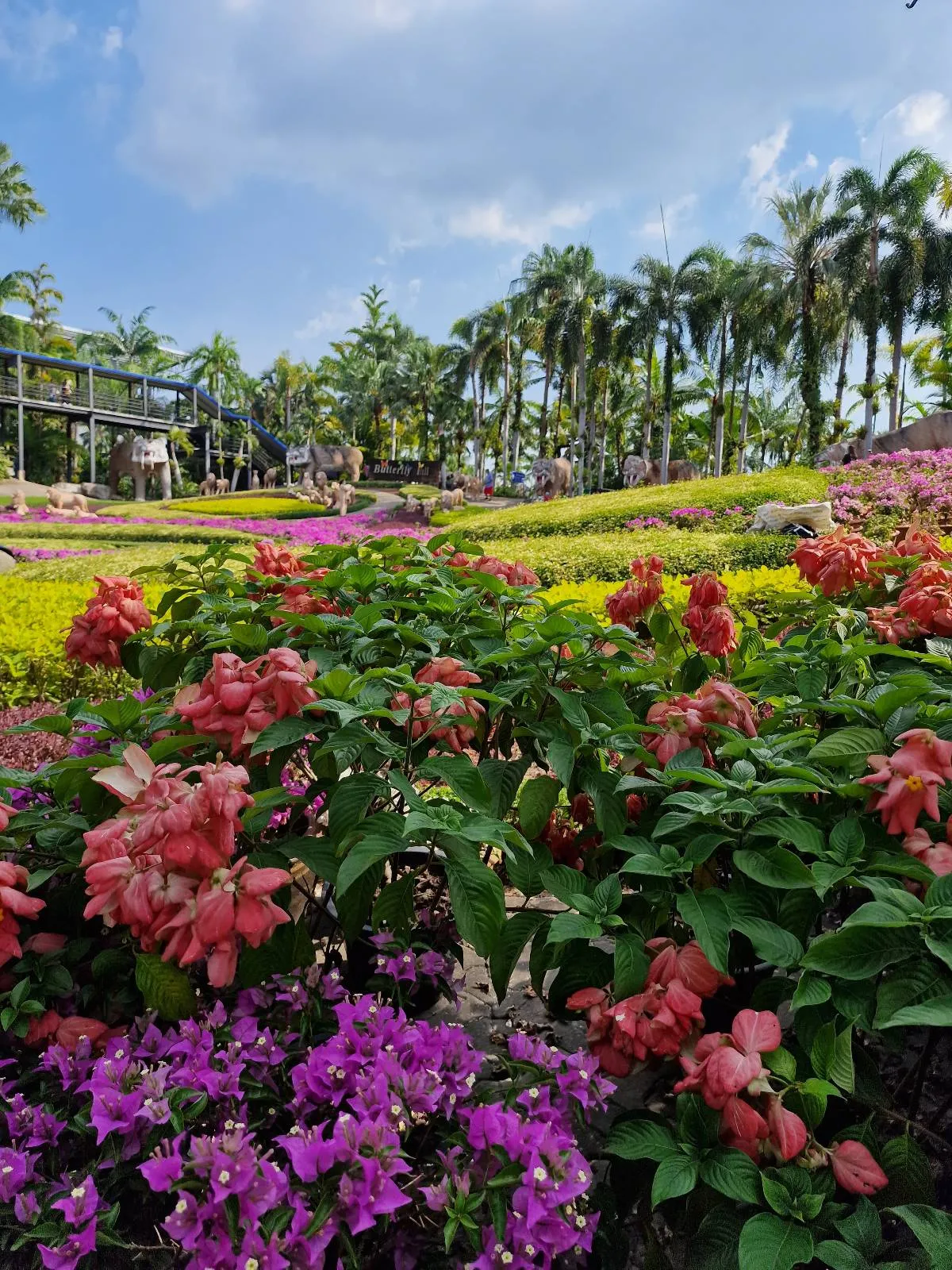 A vibrant garden featuring clusters of pink and purple flowers in the foreground, with lush green foliage and tall palm trees in the background under a partly cloudy blue sky.
