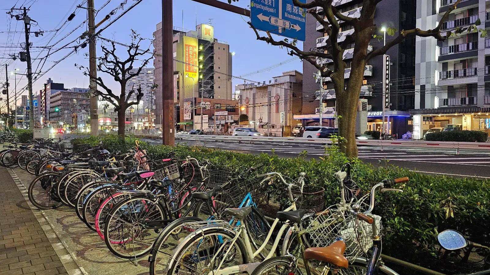 Rows of bicycles are parked along a city sidewalk at dusk, with leafless trees and busy streets lined with buildings and neon lights in the background.